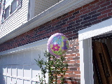 Birthday Balloon